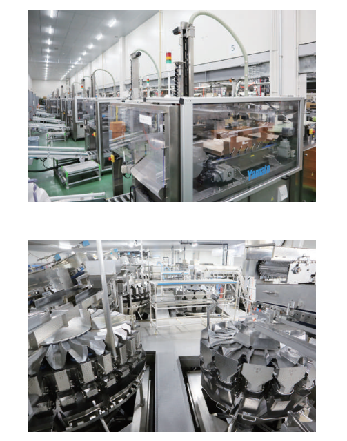 フレキシブルケースパッカー、データウェイ