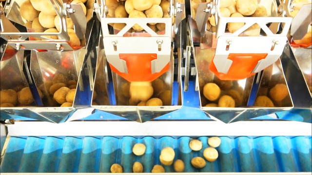 青果用の自動計量機