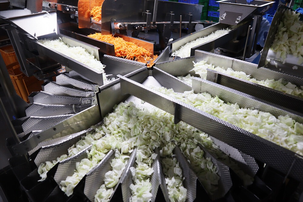 野菜の自動計量ライン