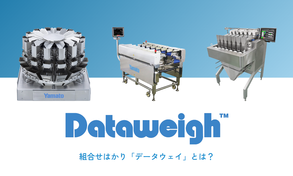 大和製衡株式会社のデータウェイ